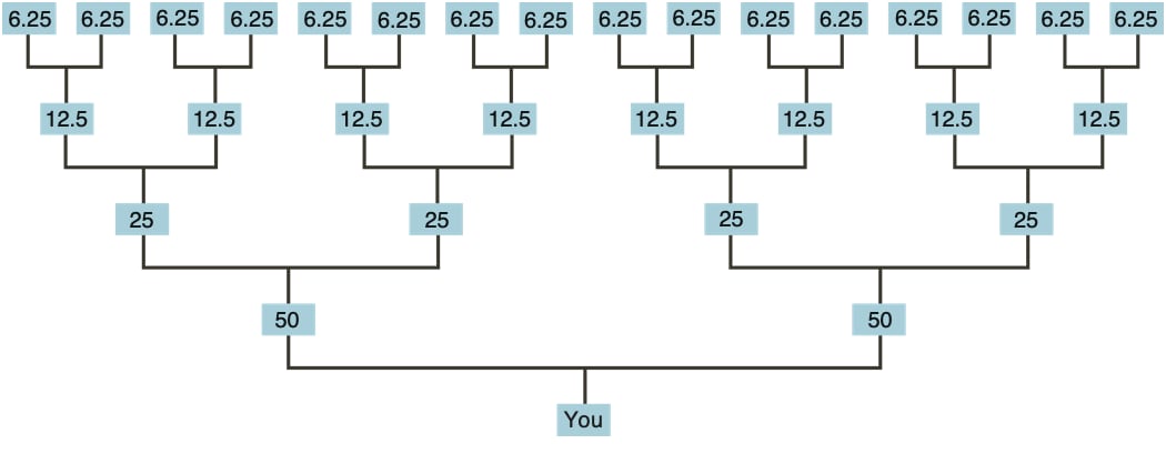 inheritance chart
