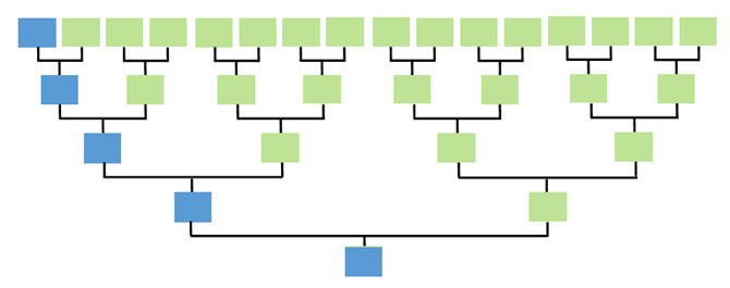 Un diagramme généalogique illustrant la transmission patrilinéaire de l'ADN-Y. Une ligne unique et continue de carrés bleus met en évidence la lignée paternelle pure qui descend verticalement le long du bord gauche, tandis que tous les autres nœuds ancestraux sont colorés en vert pour indiquer les lignées qui n'héritent pas de ce chromosome Y.
